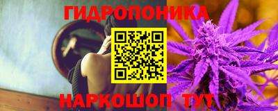 гидропоника Новокубанск