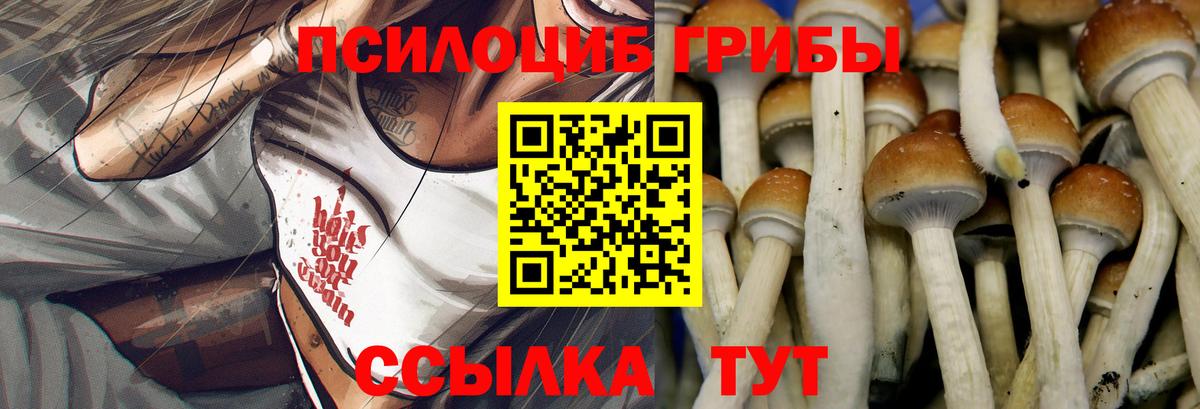 Галлюциногенные грибы мицелий  Галлюциногенные грибы GOLDEN TEACHER  Вход с VPN  Ухта 